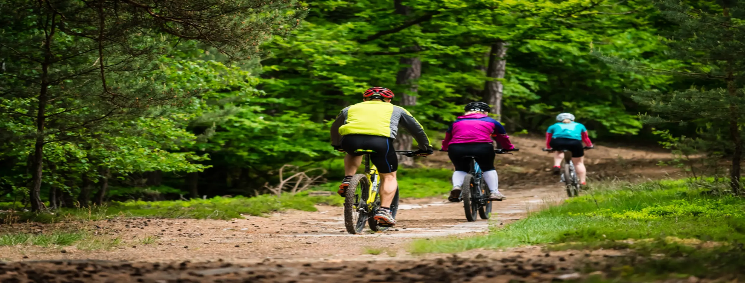 Image for Pedal Through Parks